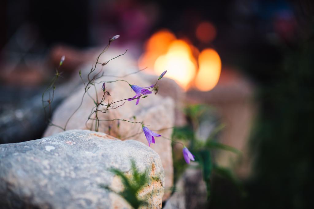 Bjoerkebo Camping Stöllet Kültér fotó