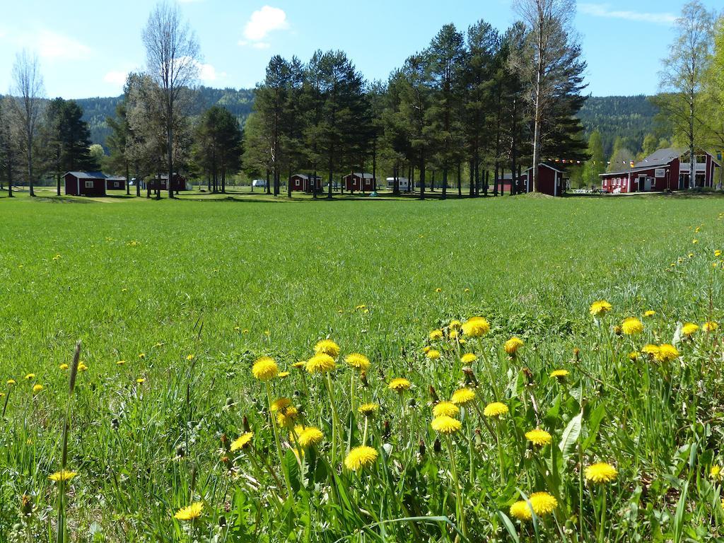 Bjoerkebo Camping Stöllet Kültér fotó